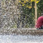 Un hombre y su perro en un momento de relax