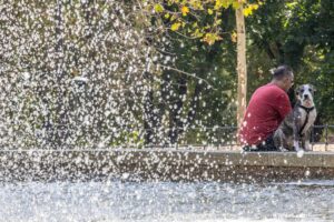 Un hombre y su perro en un momento de relax