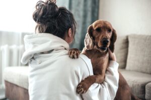 Un perro en su casa de acogida