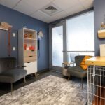 Un cuarto del mundo real en el centro de adopción de ASPCA